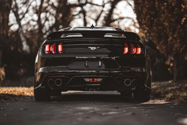 Kasino Posh Bingo Apl Android/iOS